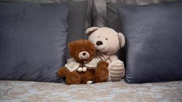 twee teddy bears Aan de dubbele luxe bed. kopiëren ruimte. video