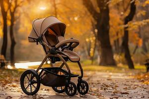 modern stroller in a park during sunset photo