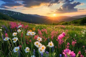 campo lleno con hermosa y vistoso orquídeas foto