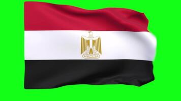 golvend vlag van Egypte animatie 3d geven methode video