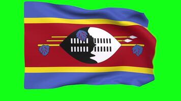 acenando bandeira do Eswatini animação 3d render método video