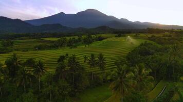 hermosa Mañana ver desde Indonesia de montañas y tropical bosque video