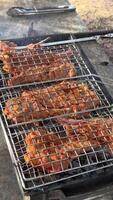 Türkisch Küche Holzkohle Grill Lamm verkohlt Fleisch. kulinarisch traditionell rauchig Grill Adana Kebab. geröstet halal Schaschlik Fleisch. Koch Braten Schaschlik Kebab Grill auf Grill. Arabisch Essen gegrillt auf Spieße. video