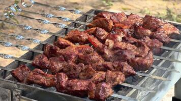 turc cuisine charbon gril agneau carbonisé Viande. culinaire traditionnel enfumé barbecue Adana kebab. rôti halal shish Viande. cuisinier rôtis shish kebab barbecue sur gril. arabe nourriture grillé sur brochettes. video