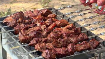 Turkish Cuisine Charcoal Grill Lamb Charred Meat. Culinary Traditional Smoky Barbeque Adana Kebab. Roasted Halal Shish Meat. Cook Roasts Shish Kebab Barbecue On Grill. Arabic Food Grilled On Skewers. video