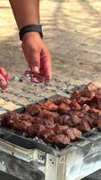 Türkisch Küche Holzkohle Grill Lamm verkohlt Fleisch. kulinarisch traditionell rauchig Grill Adana Kebab. geröstet halal Schaschlik Fleisch. Koch Braten Schaschlik Kebab Grill auf Grill. Arabisch Essen gegrillt auf Spieße. video