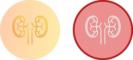 Kidney Icon Design vector