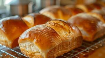 Loaves of bread cooling on a wire rack their delicious aroma filling the room and tempting the viewers taste buds photo