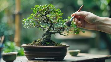 un bonsai árbol siendo suavemente cepillado con un suave maquillaje cepillo a eliminar escombros y polvo desde sus delicado hojas foto