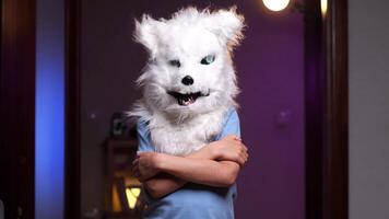 portrait of a boy in a wolf dog mask stands with his arms crossed halloween mask video