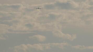 Long shot rear view, jet passenger plane climbing after takeoff. Air transport in backlight video