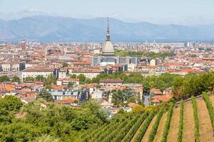 turín, italia - panorama con el monumento mole antonelliana, el viñedo y las montañas de los alpes foto