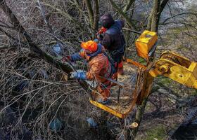 Dnepr, Ukraine - 03.20.2024 Municipal service workers stand with a chainsaw in a crane basket and trim dangerous trees. photo