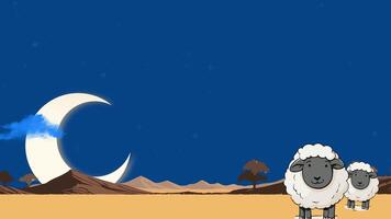 Schaf, Sterne Mond im das Nacht, Landschaft. 2d Animation. video