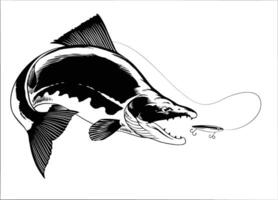 Clásico ilustración de salmón rojo salmón atrapando pescar señuelo vector