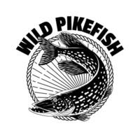 Clásico camiseta diseño de salvaje lucio pescado en negro y blanco vector