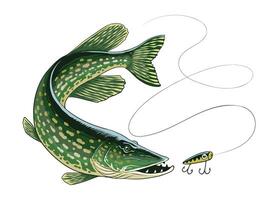lucio pescado atrapando pescar cebo ilustración vector