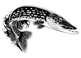 lucio pescado saltando fuera de agua negro y blanco ilustración vector
