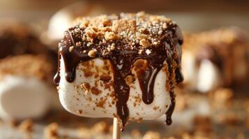 A closeup of a marshmallow on a stick dripping with melted chocolate and graham cracker crumbs photo