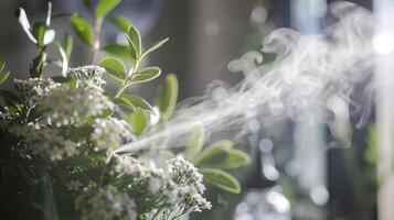 pulverización un niebla de eucalipto y lavanda esencial aceites a mejorar relajación y respiratorio beneficios. foto