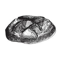 graphic illustration of bread . Black and white sketch on a white background. Suitable for logo, bakery design, wrapping paper vector