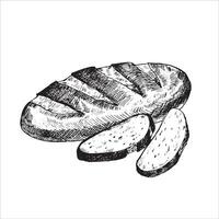 graphic illustration of bread with sliced pieces. Black and white sketch on a white background. Suitable for logo, bakery design, wrapping paper vector