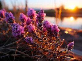 ai generado lavanda flores en borroso puesta de sol fondo, generativo ai foto