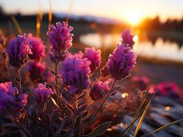 ai generado lavanda flores en borroso puesta de sol fondo, generativo ai foto