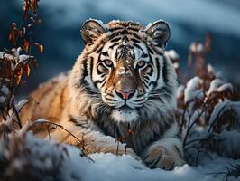 AI generated tiger on the background of a winter landscape Generative AI photo