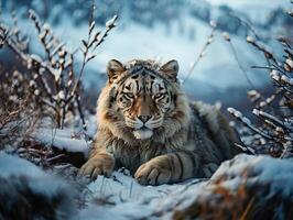 AI generated tiger on the background of a winter landscape Generative AI photo