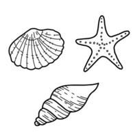 Sea set. Hand drawn sea shells and star illustrations in doodle style. Simple sketch isolated on white background. Marine underwater design elements. Summer sea clipart. vector