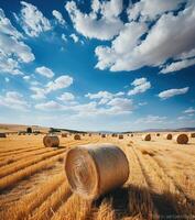 AI generated straw bales in a field against the blue sky Generative AI photo