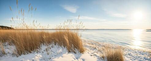 AI generated snow-covered shore with yellow grass at sunset Generative AI photo