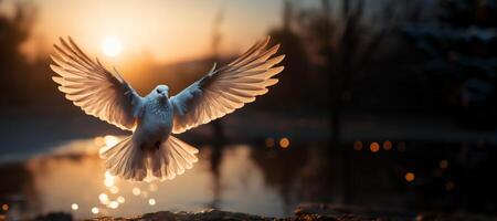 AI generated dove takes off against the backdrop of sunset Generative AI photo
