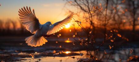 AI generated dove takes off against the backdrop of sunset Generative AI photo