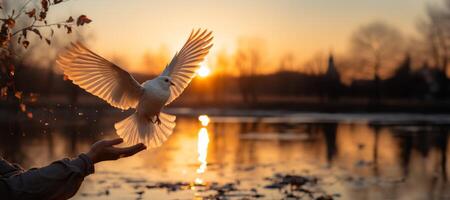 ai generado paloma toma apagado en contra el fondo de puesta de sol generativo ai foto