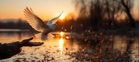 AI generated dove takes off against the backdrop of sunset Generative AI photo