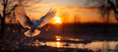 AI generated dove takes off against the backdrop of sunset Generative AI photo