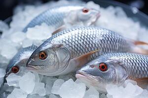 AI generated frozen fish in ice Generative AI photo