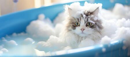 AI generated cat in a foam bath Generative AI photo