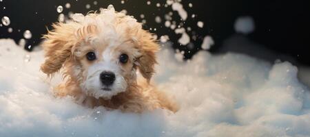 AI generated dog in a foam bath Generative AI photo