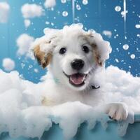 AI generated dog in a foam bath Generative AI photo
