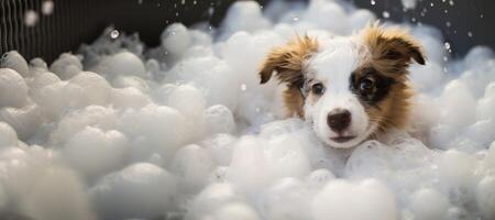 AI generated dog in a foam bath Generative AI photo