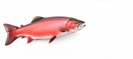 AI generated Pacific salmon on white background Generative AI photo