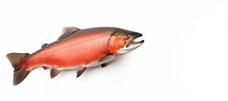 AI generated Pacific salmon on white background Generative AI photo