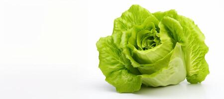 AI generated cabbage on white background Generative AI photo