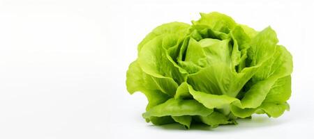 AI generated cabbage on white background Generative AI photo