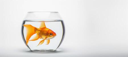 AI generated Goldfish in an aquarium on a white background Generative AI photo