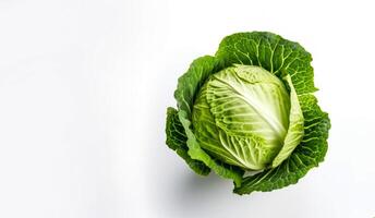 AI generated cabbage on white background Generative AI photo