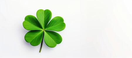 AI generated Irish clover on white background good luck Generative AI photo